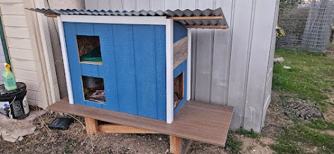 Cat House - Client was bringing in a colony of feral cats and wanted a shelter for them. We built this stand alone unit with two levels, heater on the bottom level and heated floors on both levels. Cat House - Client was bringing in a colony of feral cats and wanted a shelter for them. We built this stand alone unit with two levels, heater on the bottom level and heated floors on both levels.