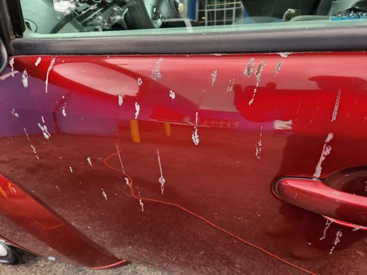 Removal of sap - This car had tree sap all over it and was very hard to remove. It was sitting under a tree in North Carolina for 4 years. Removal of sap - This car had tree sap all over it and was very hard to remove. It was sitting under a tree in North Carolina for 4 years.