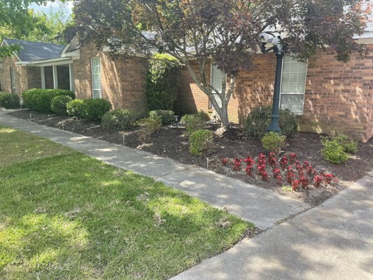 Spring Lakes project - Client asked to have their irrigation system repaired. After completing the first task they asked the cost of removing the unwanted garden bed and sodding it. After discussing cost and process we came to an agreement and executed the plan. Another happy client. Spring Lakes project - Client asked to have their irrigation system repaired. After completing the first task they asked the cost of removing the unwanted garden bed and sodding it. After discussing cost and process we came to an agreement and executed the plan. Another happy client.