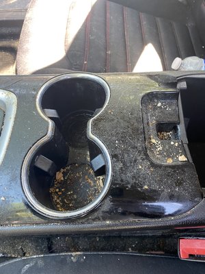 Funky Fusion - This Ford Fusion was especially funky. Not sure how many sodas exploded in there, but it was definitely never cleaned. Showed it some love!