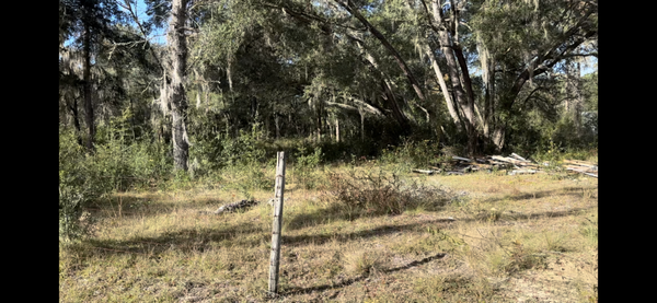 Tree service/ storm prep - This a pic from a land clearing job where we cleared 2 acres, removed 25+ trees and ground 30+ stumps.