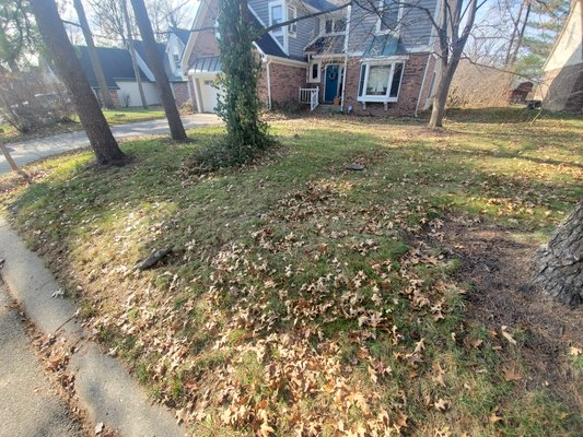Leaf Removal - Visit us online at www.lawnwizardindy.com or text us at 3176070329 Leaf Removal - Visit us online at www.lawnwizardindy.com or text us at 3176070329