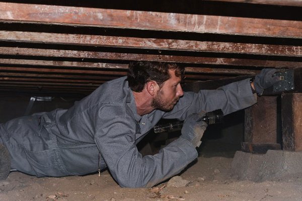 Attic, Crawlspace, & Structure Inspections - Every home is unique in size, shape, age and style. Since we inspect hundreds of items on each home, one should think in terms of the major systems of the home. These systems include: Attics, Crawlspaces, Interior & Exterior Structure inspections.