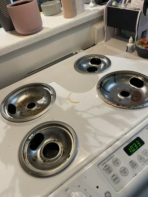 Regular clean enero 2023 - Hi thanks for take a look our work
This a regular clean :
Cleaning includes: Kitchen, bedrooms, living room, dining room, bathroom and laundry room. Exterior of appliances, doorframes, switch plates, counter tops, light clean in cabinets, sinks, wiped down and disinfected. Floors, vacuumed ,Map , Toilets and shower tub combos are scrubbed and Regular clean enero 2023 - Hi thanks for take a look our work
This a regular clean :
Cleaning includes: Kitchen, bedrooms, living room, dining room, bathroom and laundry room. Exterior of appliances, doorframes, switch plates, counter tops, light clean in cabinets, sinks, wiped down and disinfected. Floors, vacuumed ,Map , Toilets and shower tub combos are scrubbed and