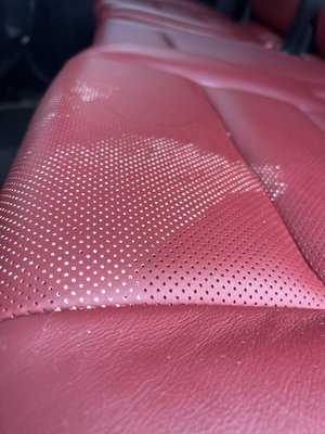 Interior Detail - When it comes to biohazard cleanup like vomit on leather seats, precision and care are key—especially when it’s seeped into the perforations (pores) of the leather. In this job, we were called to remove vomit that had penetrated the tiny holes in a ventilated leather seat.

I started by carefully extracting the surface material using a bio-safe enzyme cleaner designed to break down organic matter without damaging leather. Using a soft detailing brush and vacuum extractor, we gently worked the solution into the pores to lift out embedded particles. After multiple passes, we flushed the area with a pH-balanced leather rinse and followed up with a deodorizing treatment to eliminate lingering odor at the source—not just mask it.

To finish, we conditioned the leather to restore moisture and protect it from future damage. The seat was left clean, sanitized, and fresh—with no visible trace or odor of the accident.