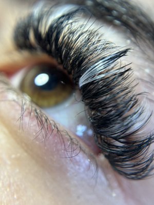 full volume lashes - This set is a full volume set and we used wispy lashes to create a textured look!