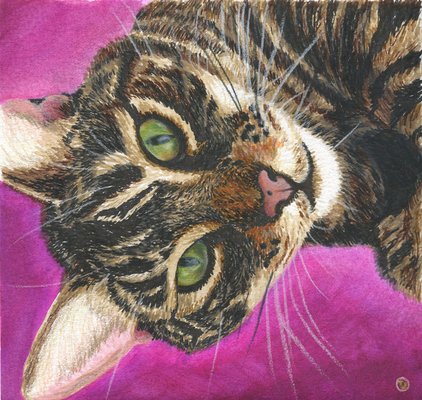 Commissioned Cat Portrait - This commission was fun & quick. It was made from one reference image in which I explored a different, more bold background color to accentuate the cat. When the commissioner saw it, she responded, "Oh my god that’s beautiful it looks exactly like him. Thank you you did a great job."