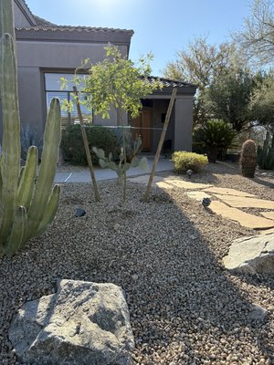 Tree Removal and Planting - Tree trimming / removal and planting services