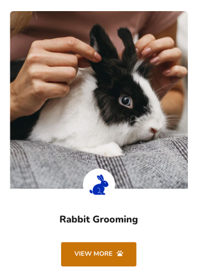 Expert Pet Grooming Services | Woman Owned - Dog grooming Pet Grooming Cat Grooming Rabbit Grooming Pet Grooming Salon Walk-Ins and Appointments Welcomed