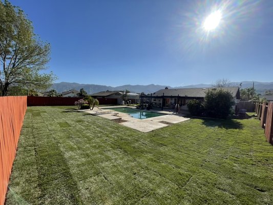 Backyard makeover. - Backyard makeover! Comercial maintenance.