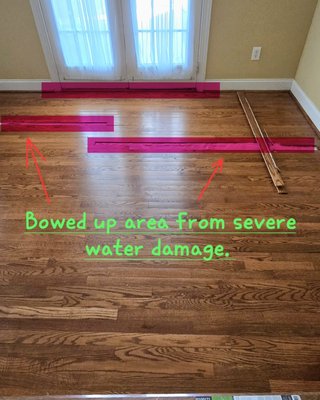 Water damaged floor, pressure washing, and painting of a game room. - All but two of the photos were taken at one location. The pressure washing and the flooring are located at the same home. The game room was located in Greenville, SC. The other home is located in the Greer, SC area. Once the damages are fixed and the new flooring is down, this will be updated at that time. The prices for each individual project vary on the extent of the damages, size, location, and material cost. Painting prices are about the same. Depending on the sqft and the materials. To have a 2 story home pressure washed with a front and rear deck, garage, and walkway done runs around $350 and up. Depending on size, location, and if I have to use certain chemicals for mold, moss, mildew, and stains Water damaged floor, pressure washing, and painting of a game room. - All but two of the photos were taken at one location. The pressure washing and the flooring are located at the same home. The game room was located in Greenville, SC. The other home is located in the Greer, SC area. Once the damages are fixed and the new flooring is down, this will be updated at that time. The prices for each individual project vary on the extent of the damages, size, location, and material cost. Painting prices are about the same. Depending on the sqft and the materials. To have a 2 story home pressure washed with a front and rear deck, garage, and walkway done runs around $350 and up. Depending on size, location, and if I have to use certain chemicals for mold, moss, mildew, and stains