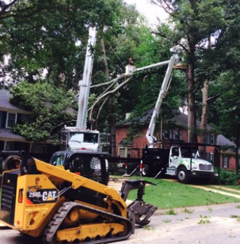 Tree Removal - Removing large trees for safety reasons. Call today for a free quote! Tree Removal - Removing large trees for safety reasons. Call today for a free quote!