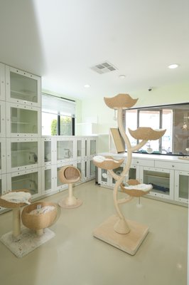 CAT HOTEL - At Dog Resort, we’re passionate about providing the best possible experience for your furry friend. That’s why we’re thrilled to offer overnight cat boarding services in addition to our dog boarding options. Our 31 private condos for cats are designed to provide the ultimate in comfort and relaxation. We understand that cats can be finicky creatures, so we’ve created a stress-free environment that’s sure to make them feel right at home.
