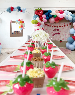 Parties - We host birthday parties for kids ages 0-7 in our boutique Reggio Emilia-inspired play space in Sausalito, Marin. Choose from our DIY Party or fully themed Dream Package — we have options for different style and budget. Free parking, easy freeway access, and a space that feels nothing like a typical party venue.
For more information go to https://www.thesocialklub.com/party-room
Find examples of previous parties in our highlights on Instagram @the.social.klub