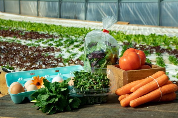 Farm Fresh Produce Bundles - Produce Bundles are the easiest way to get fresh produce, eggs, and more from your local farmer!
What's in a Bundle?
Basic Bundle:
A six-ounce bag of heirloom salad mix;
2 servings of microgreens or a seasonal leafy green;
1-2 seasonal veggies;
Free Delivery of your order & any addons from the marketplace.
Regular Bundle:
A six-ounce bag of heirloom salad mix
2 servings of microgreens or a seasonal leafy green;
Fresh bunches of herbs;
2-3 Seasonal veggies;
Free Delivery, including any any addons from the marketplace. Farm Fresh Produce Bundles - Produce Bundles are the easiest way to get fresh produce, eggs, and more from your local farmer!
What's in a Bundle?
Basic Bundle:
A six-ounce bag of heirloom salad mix;
2 servings of microgreens or a seasonal leafy green;
1-2 seasonal veggies;
Free Delivery of your order & any addons from the marketplace.
Regular Bundle:
A six-ounce bag of heirloom salad mix
2 servings of microgreens or a seasonal leafy green;
Fresh bunches of herbs;
2-3 Seasonal veggies;
Free Delivery, including any any addons from the marketplace.