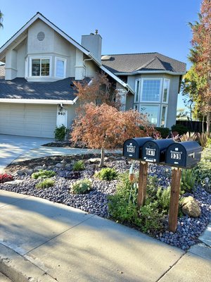 940 Bimmerle Pl - This landscape remodel relied on a very labor intensive, massive all around: (1)Landscape Cleanup, (2)Decorative Rock Installation, (3)Retaining Wall, (4)Drip Irrigation Conversion, (5)Plants & Ground Cover. All while visually designing everything in-person & staying super well communicated with the clients from start to finish. 940 Bimmerle Pl - This landscape remodel relied on a very labor intensive, massive all around: (1)Landscape Cleanup, (2)Decorative Rock Installation, (3)Retaining Wall, (4)Drip Irrigation Conversion, (5)Plants & Ground Cover. All while visually designing everything in-person & staying super well communicated with the clients from start to finish.