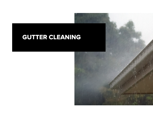 Interior Gutter Cleaning - JD Pro uses professional methods and tools to clean gutters on residential homes and small commercial buildings.
The standard Gutter Cleaning Service includes:
Clearing all debris out of the inside of the gutters
Clearing the downspouts and drain pipes to ground level
Ensuring proper water flow and drainage
We can also tighten up a sagging gutter and seal a leaky corner. We also offer Exterior Gutter Cleaning as an additional service to clean off the grime and algae that accumulates on the outsides of gutters. Interior Gutter Cleaning - JD Pro uses professional methods and tools to clean gutters on residential homes and small commercial buildings.
The standard Gutter Cleaning Service includes:
Clearing all debris out of the inside of the gutters
Clearing the downspouts and drain pipes to ground level
Ensuring proper water flow and drainage
We can also tighten up a sagging gutter and seal a leaky corner. We also offer Exterior Gutter Cleaning as an additional service to clean off the grime and algae that accumulates on the outsides of gutters.