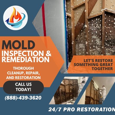 Mold Remediation 2023 - Mold in 3 different areas Living Room, Dinning Room and Kitchen. Removed walls from full kitchen and dinning room. Removed flooring from living room, and kitchen and started remediation