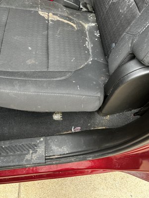 Complete Disaster Detail - This Detail was one of the best we had done, and one of the most difficult. This truck was from the mom that we had come to us and made our day! this mother needed help, and she was more than willing to come back to us again! Complete Disaster Detail - This Detail was one of the best we had done, and one of the most difficult. This truck was from the mom that we had come to us and made our day! this mother needed help, and she was more than willing to come back to us again!