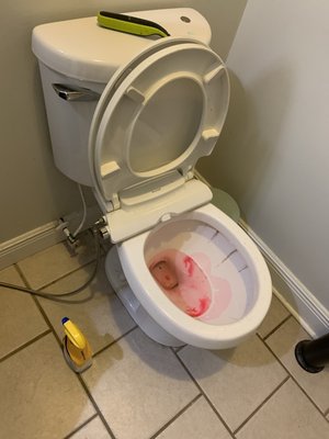 Spotless Restoration - Our deep cleaning service removes stains, buildup, and bacteria to fully restore the toilet area. The result: a spotless, odor-free, and refreshed environment that feels brand new. Spotless Restoration - Our deep cleaning service removes stains, buildup, and bacteria to fully restore the toilet area. The result: a spotless, odor-free, and refreshed environment that feels brand new.