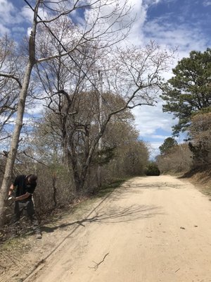 Powerline clearing￼￼ - Powerline clearing￼