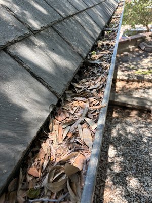 Fort Worth, Texas, June 1st, 2026. - This was a tough job. There was a lot more debris clogging the gutters than originally expected, so it was very labor intensive and took me most of the day. We got it done, and the customer is extremely happy. This is what it's all about: white-collar service in the blue-collar industry. Fort Worth, Texas, June 1st, 2026. - This was a tough job. There was a lot more debris clogging the gutters than originally expected, so it was very labor intensive and took me most of the day. We got it done, and the customer is extremely happy. This is what it's all about: white-collar service in the blue-collar industry.