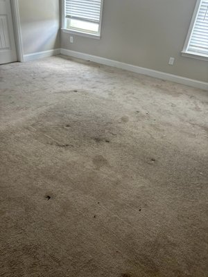 Move out clean - Want a stress-free move-out experience? Let us handle the cleaning! We offer comprehensive cleaning services, including carpet shampooing. Request a quote today!
This beautiful home needed a full move-out clean so she could be ready to hit the market this week. Move out clean - Want a stress-free move-out experience? Let us handle the cleaning! We offer comprehensive cleaning services, including carpet shampooing. Request a quote today!
This beautiful home needed a full move-out clean so she could be ready to hit the market this week.