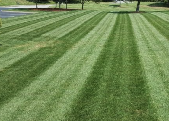 Lawn Maintenance - We offer basic lawn mowing, maintenance, and clean ups! Call or message us today to schedule your free estimate and let us get that yard taken care of! Lawn Maintenance - We offer basic lawn mowing, maintenance, and clean ups! Call or message us today to schedule your free estimate and let us get that yard taken care of!