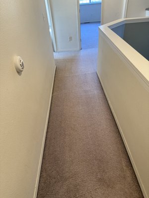 Pet damage stain removal! - Before and after of a recent pet damage stain removal.