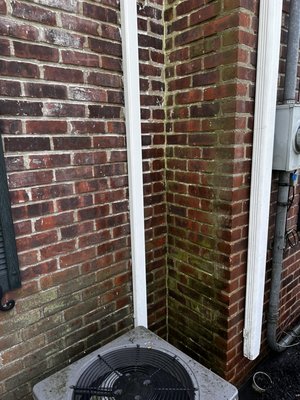 Before and after shots of a full power wash on a brick house with years of mold and dirt built up - Just a glimpse of our professional power washing with a before and after picture Before and after shots of a full power wash on a brick house with years of mold and dirt built up - Just a glimpse of our professional power washing with a before and after picture