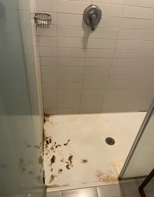 Before & After - Before & After Before & After - Before & After