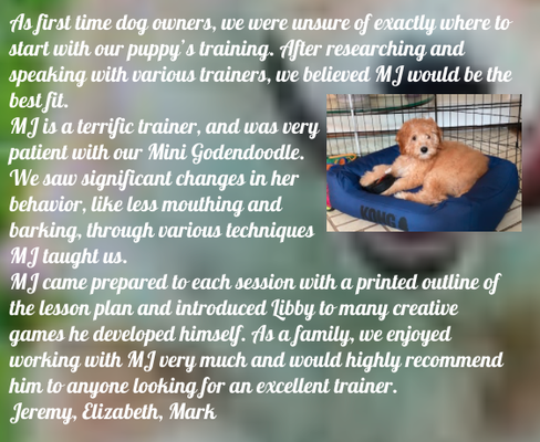 Client Testimonials - Please read the kind words of my clients! I'm confident that I can find a proper training solution for your dog. Please call to schedule a consultation today.