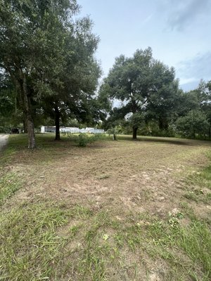 Overgrown property!!!  - Customer wanted his property cleaned up before having a home delivered.  Overgrown property!!!  - Customer wanted his property cleaned up before having a home delivered. 