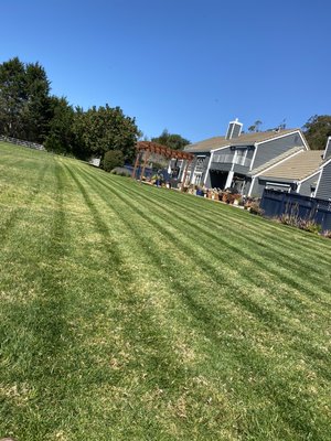 Lawn maintenance - Service commercial and residential maintenance Lawn maintenance - Service commercial and residential maintenance
