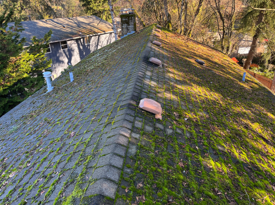 ROOF CLEANING - Property management group submitted roof cleaning request for one of their properties in Tualatin, Oregon. Pro Power Wash inspected property and submitted cleaning options for the property. Once selection was made, we performed roof cleaning and moss treatment. Call us today for your free quote!