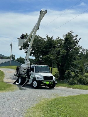 Tree removal - We specialize in solutions for dangerous trees that can pose a threat after their limbs are broken or weakened by a storm. Our fully insured team does everything right to ensure your property is safeguarded and your trees are looking their best. Stringfellow's Tree Service is often recommended by word of mouth and other referrals thanks to our satisfaction guarantee and frequent discounts for clients.
Our tree services are provided all year long, featuring 24-hour storm services when downed limbs create a situation that can't wait. Feel free to contact us regarding:
Wood Removal
Tree Removal
Stump Grinding Tree removal - We specialize in solutions for dangerous trees that can pose a threat after their limbs are broken or weakened by a storm. Our fully insured team does everything right to ensure your property is safeguarded and your trees are looking their best. Stringfellow's Tree Service is often recommended by word of mouth and other referrals thanks to our satisfaction guarantee and frequent discounts for clients.
Our tree services are provided all year long, featuring 24-hour storm services when downed limbs create a situation that can't wait. Feel free to contact us regarding:
Wood Removal
Tree Removal
Stump Grinding