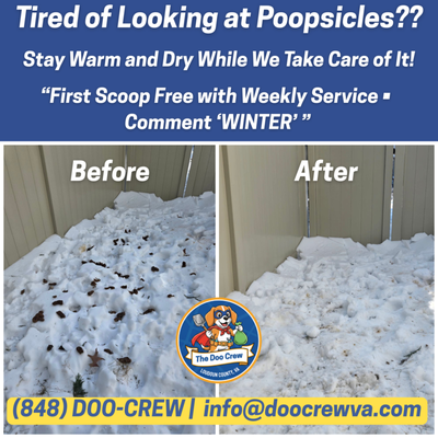 Snow Poop Removal Before/After - During the snow we still came out and took care of our customers' yards. We're better than the Postal Service, we're there even in the event of a zombie apocalypse. Snow Poop Removal Before/After - During the snow we still came out and took care of our customers' yards. We're better than the Postal Service, we're there even in the event of a zombie apocalypse.