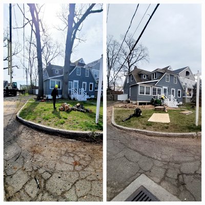 Tree Removal - This tree removal was done in Norwalk, CT.
Our client was afraid of having those old trees too close to the house, and therefore, they deci Tree Removal - This tree removal was done in Norwalk, CT.
Our client was afraid of having those old trees too close to the house, and therefore, they deci