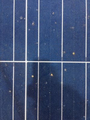 Clean Solar Panels generate more Electricity - Solar Panels absorbs more sunlight when cleaned and as a result produces more electricity for home.