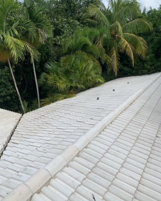 Roof Cleaning - This is a beautiful home tucked away along A1A. Roofing companies suggested they replace the roof. We cleaned it for them instead and extended the life of their current roof by at least 5 years!!! Call us today if your roof could use some TLC. Roof Cleaning - This is a beautiful home tucked away along A1A. Roofing companies suggested they replace the roof. We cleaned it for them instead and extended the life of their current roof by at least 5 years!!! Call us today if your roof could use some TLC.