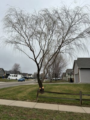 The full process of achieving your goals to better looking yard and peace of mind that we can handle any tree. - My team and I will not stop until you’re 100% satisfied with your tree and yard. I guarantee our work for one full year in less an act of God destroys our work with tornado or lightning. Free