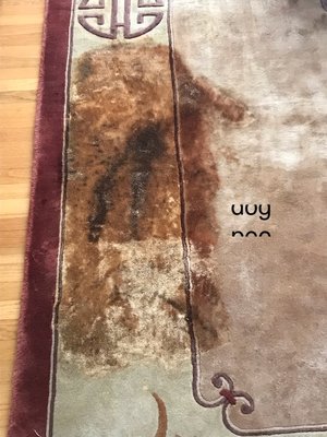 Coffee stain removing - coffee stain removing from rug by rug master Coffee stain removing - coffee stain removing from rug by rug master