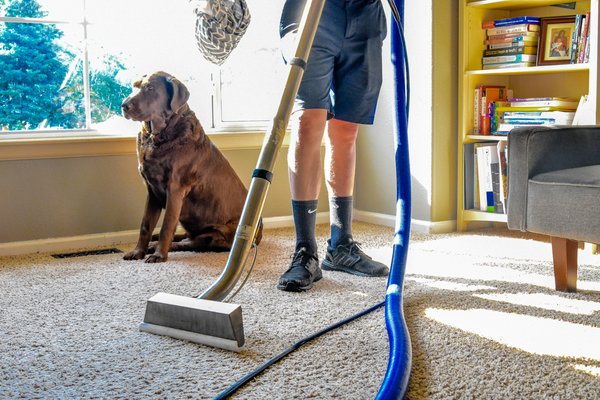 Carpet Cleaning - Regular carpet cleaning can also help improve the air quality in your home by removing dust and allergens from your carpets. Additionally, our carpet cleaning services can remove tough pet stains and odors and help extend the life of your carpets. Over time, dirt and grime can cause damage to your carpets and weaken the fibers, so it’s important to have them professionally cleaned on a regular basis. Carpet Cleaning - Regular carpet cleaning can also help improve the air quality in your home by removing dust and allergens from your carpets. Additionally, our carpet cleaning services can remove tough pet stains and odors and help extend the life of your carpets. Over time, dirt and grime can cause damage to your carpets and weaken the fibers, so it’s important to have them professionally cleaned on a regular basis.