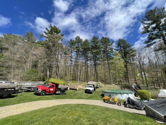 110'+ pine removals - In these photos you can see a worksite where we removed three 110'+ pines over looming over this customers property! 110'+ pine removals - In these photos you can see a worksite where we removed three 110'+ pines over looming over this customers property!