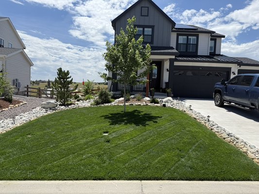 Elizabeth home project - I will start with the photos from home. Several things are going on here. Using the lawn, this is about 3 years into getting this lawn and landscaping going. The grass - sand leveled, both macro and micro nutrients are balanced through soil testing, weeds are killed and burned off in the rocks, fertilizing is started in the spring and continues until the fall, roots have been trained to go deep so sprinkler settings are minimized and coverage adjusted, grass height is set to maximize deep lushness, and stress on grass is minimized. The trees - winter kill is avoided, pruning allows for proper airflow, leafs are thick and green, lots of new woody growth.