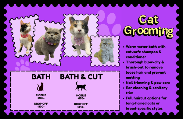 Cat Grooming - Gentle, cat-safe grooming with a warm bath, blow-dry & brush-out, nail trim, and ear cleaning. Add-on haircuts available for long-haired breeds. Mobile or drop-off. Cat Grooming - Gentle, cat-safe grooming with a warm bath, blow-dry & brush-out, nail trim, and ear cleaning. Add-on haircuts available for long-haired breeds. Mobile or drop-off.