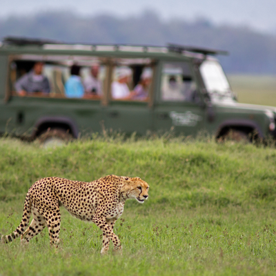 Tailored Luxury, Expertly Planned - Your dream trip deserves more than a one-size-fits-all approach. When you call us, you’re paired with a trained travel advisor who specializes in your destination—whether it's a wine-filled cruise through Bordeaux, a bucket-list safari across the Serengeti, or a curated cultural escape through Italy. We take the time to understand your needs, preferences, and style, then build a journey that’s uniquely yours—down to every last detail. Tailored Luxury, Expertly Planned - Your dream trip deserves more than a one-size-fits-all approach. When you call us, you’re paired with a trained travel advisor who specializes in your destination—whether it's a wine-filled cruise through Bordeaux, a bucket-list safari across the Serengeti, or a curated cultural escape through Italy. We take the time to understand your needs, preferences, and style, then build a journey that’s uniquely yours—down to every last detail.