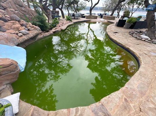 Green pool rescue - This is a green pool rescue we completed on Lake Travis pool looked like a swamp beforehand, but we got it looking good!￼