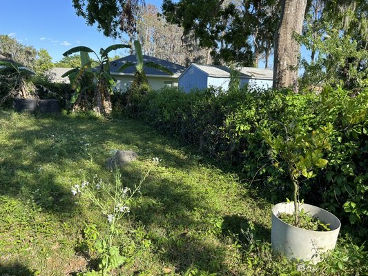 Removal of vines-fence-rail ties
Project not finish yet - Removal of vines and wooded fence as well rail ties Removal of vines-fence-rail ties
Project not finish yet - Removal of vines and wooded fence as well rail ties