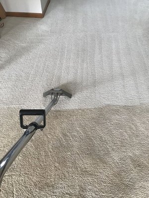 Steam Carpet Cleaning - The price includes: STEAM CLEANING ROOMS + ALL CLOSETS + HALLWAYS + CHEMICAL-FREE SHAMPOO + DEODORIZER.**  
If you need staircase cleaning, the cost is **$3 per step.